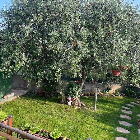 Casa Vacanze Collina Del Lago Pastrengo Exterior foto